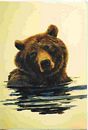 Bear Portait - Wall Mural - Thumbnail Image