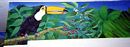 Toucan - Panoramic Mural - by Debbie Smith Mezzetta  Thumbnail Image